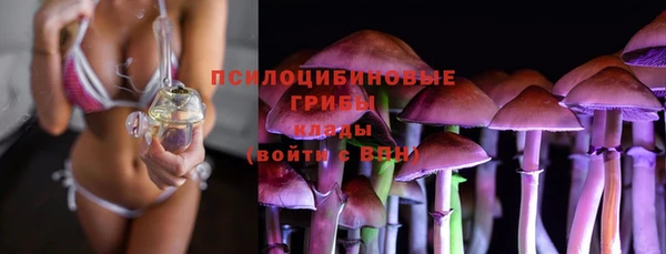 гидра Бугульма