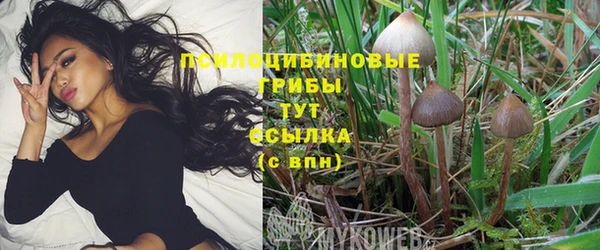 дмт Бронницы