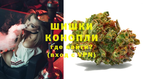ECSTASY Сафоново