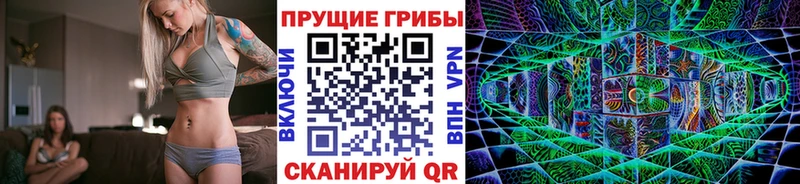 что такое   Топки  Галлюциногенные грибы Psilocybe 