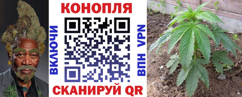 Бошки Шишки OG Kush Топки